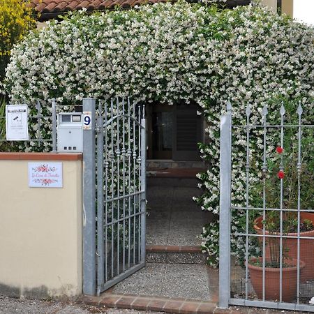 La Casa Di Fiorella 切雷托圭迪 外观 照片