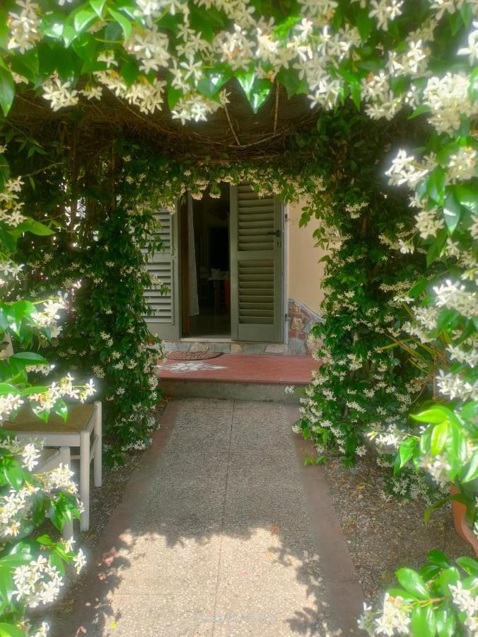 La Casa Di Fiorella 切雷托圭迪 外观 照片